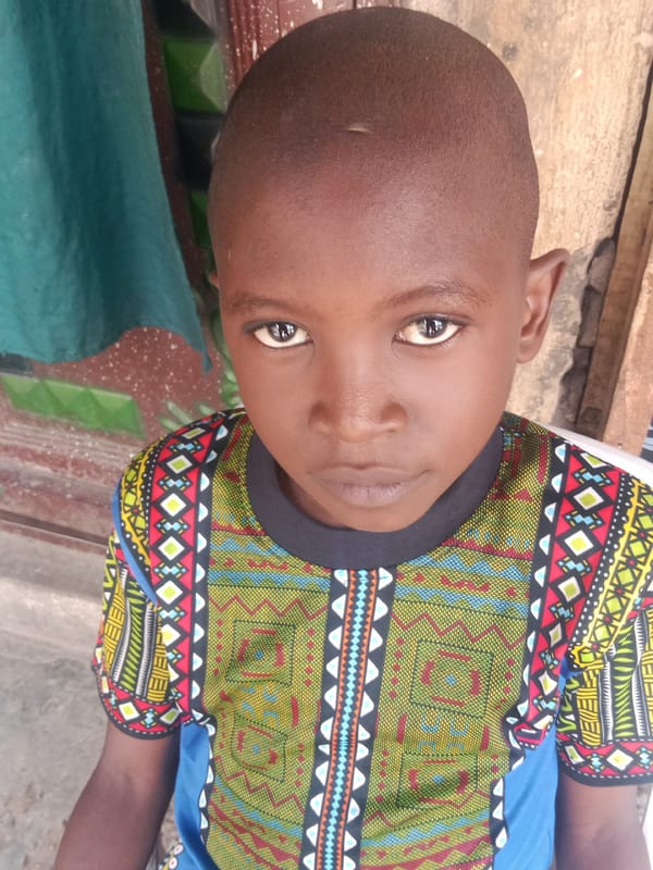 Daily life documented in Lokoja courtyard with residents and animals