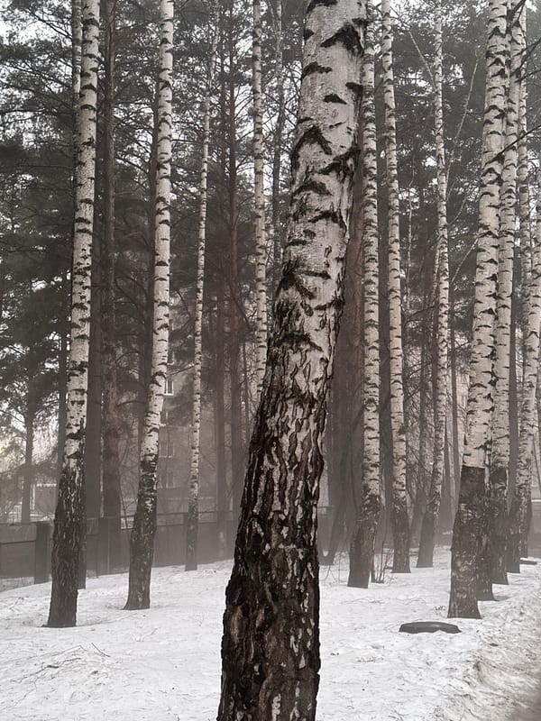 Daily life moments documented across Chaikovsky, Russia
