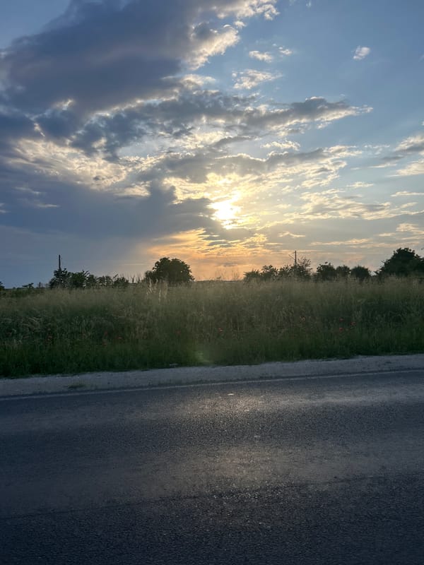 Peaceful countryside moment captured near Graf Ignatievo, Bulgaria