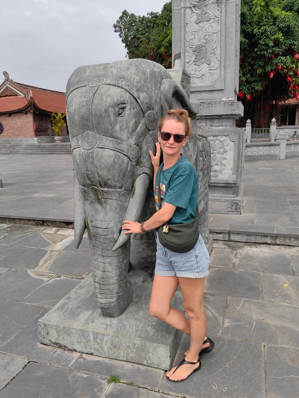 Tourist visits temple complex, dines in Hong Gai Ward