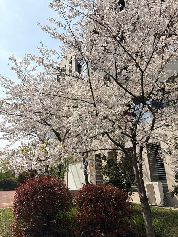 Spring blooms and urban scenes documented across Jiangning District