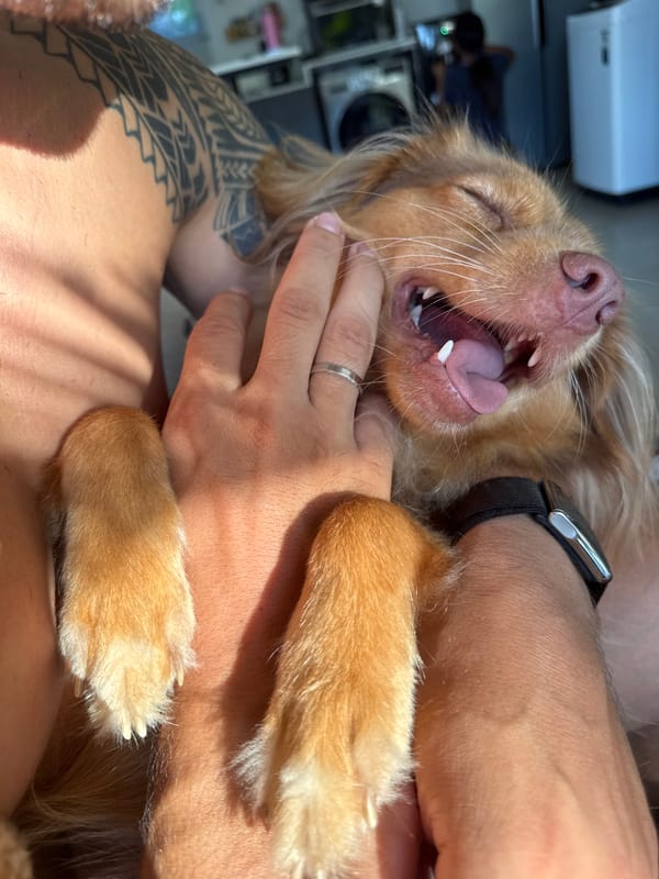 Person shares joyful moment with dog in Ubud