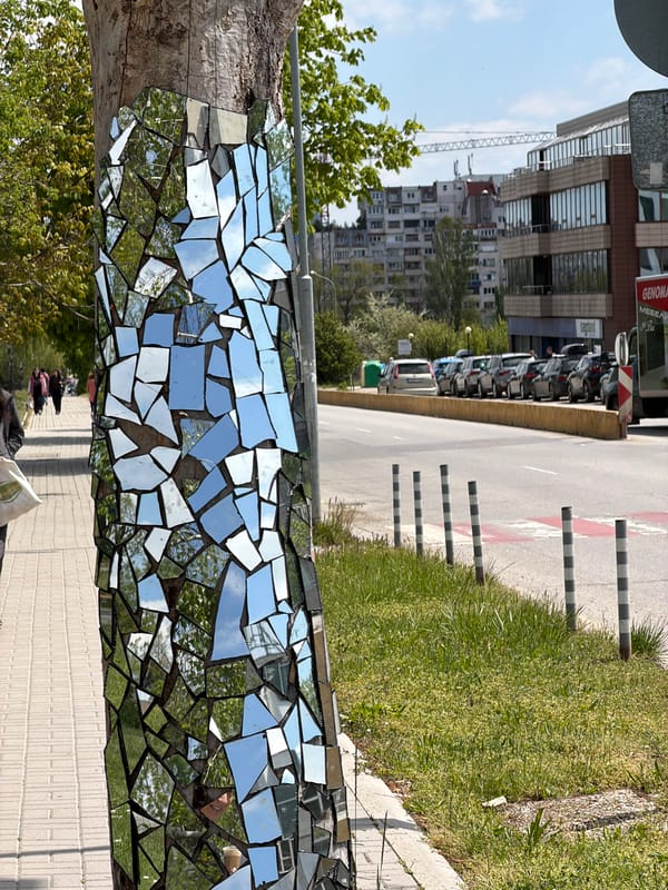 Mirror art installation spotted on Sofia tree trunk