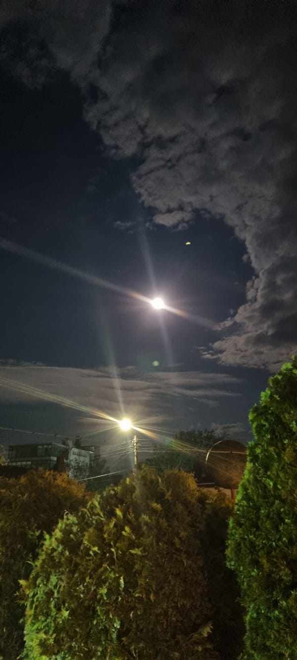 Night sky observations and dog spotted in Lom Bulgaria