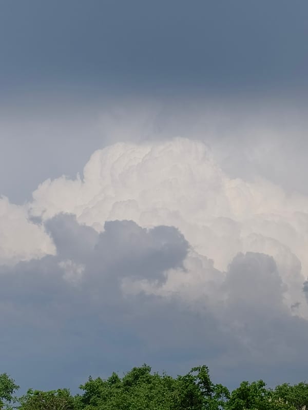 Ordinary moments captured during cloudy afternoon in Kryvyi Rih