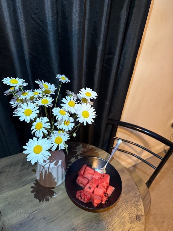 Evening meal with daisies and Marilyn Monroe book, Great Yarmouth