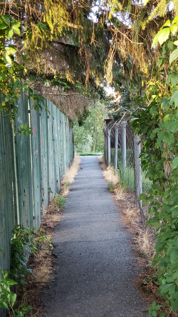 Walking a mixed-path route through Prešov, ending indoors