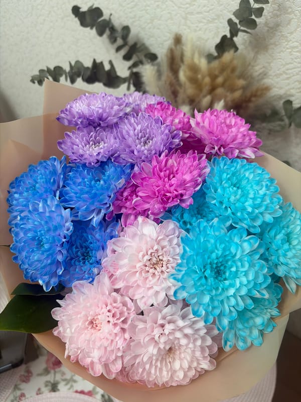 Woman receives colorful chrysanthemum bouquet in Saint Petersburg apartment
