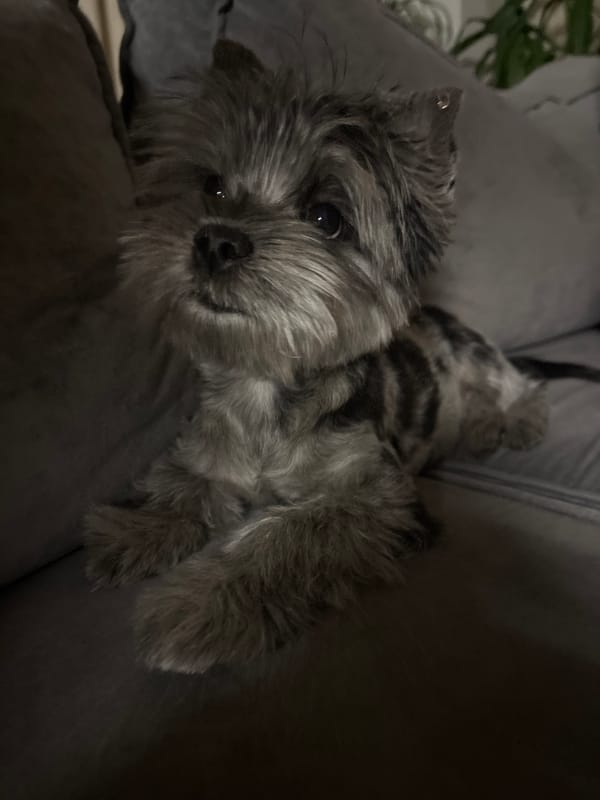 Ordinary moments documented across Chaikovsky, Russia Friday afternoon