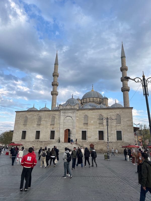 Grand Istanbul mosque photographed under cloudy afternoon sky
