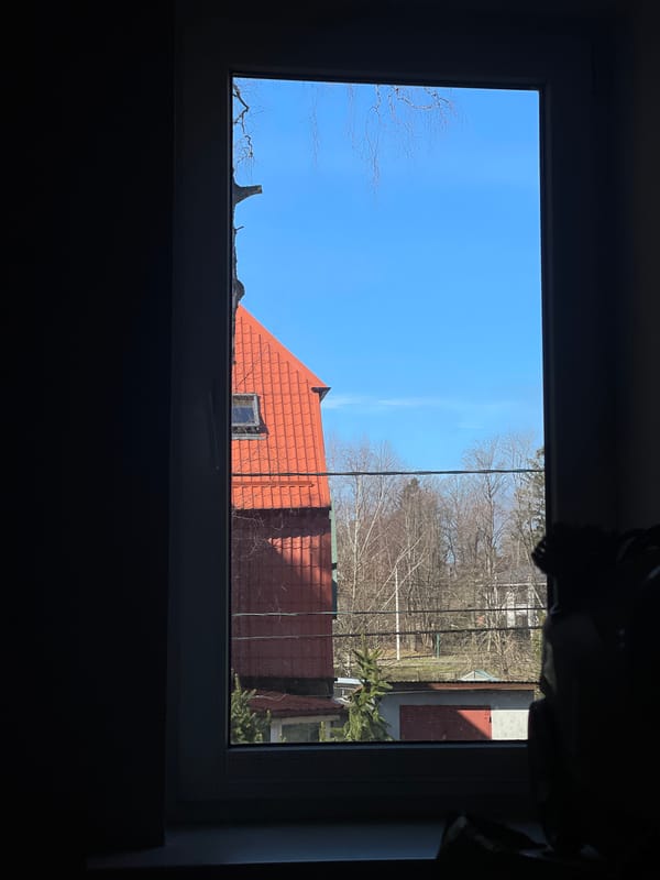 Window view captures spring morning in Svetlogorsk