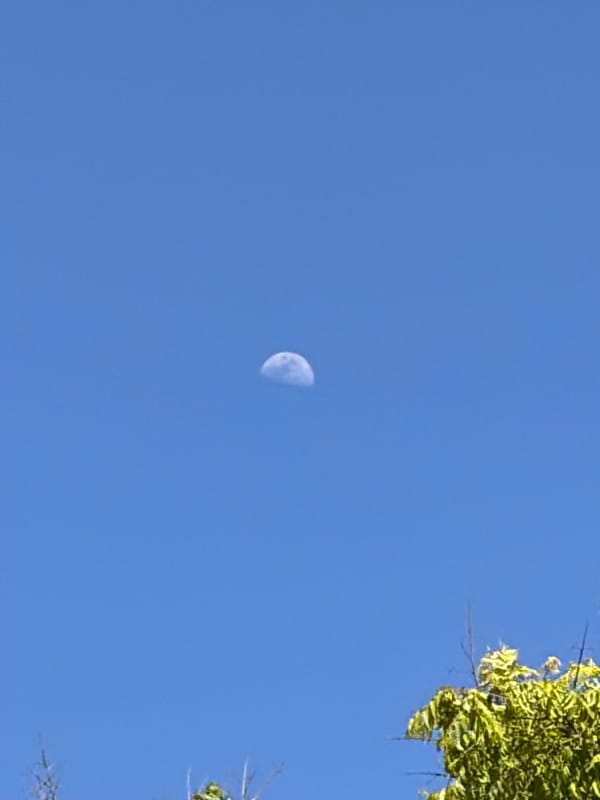 Daytime half-moon photographed over Jerusalem