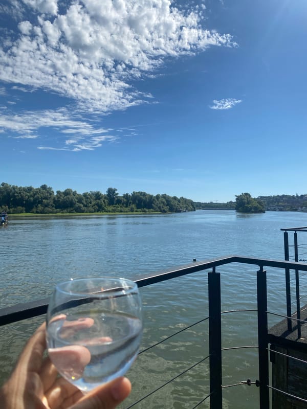 Lazy morning on the Sava River, Belgrade
