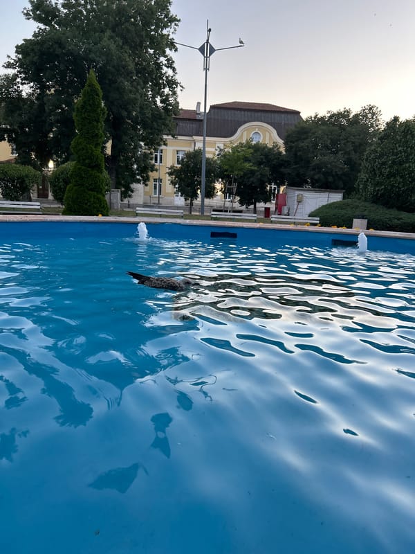 Burgas at dusk: trains, fountains, and golden-hour streets