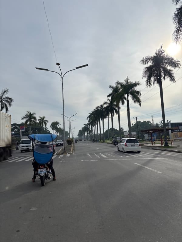 Blue tricycle travels palm-lined road in Tagum, Philippines