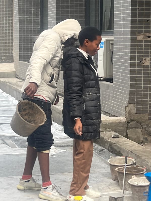 Early morning activities documented across Jiangjin laboratory and outdoor sites