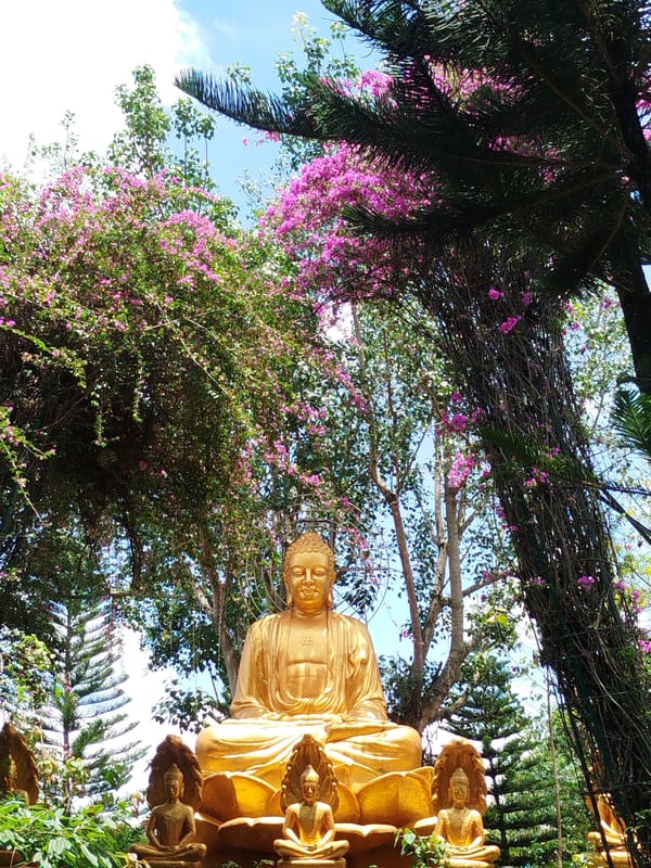 Visitor documents Buddhist temple statuary at Nam Ban pagoda