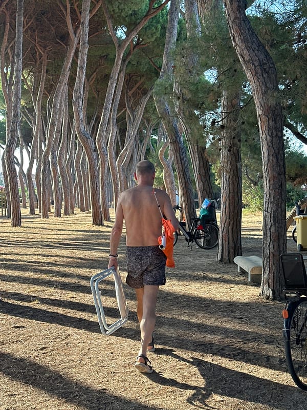Pine-shaded path and beach umbrellas in Pineto, Italy