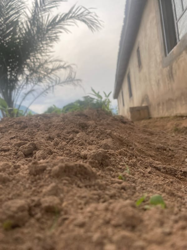 Morning on a small farm in Kuson, Nigeria