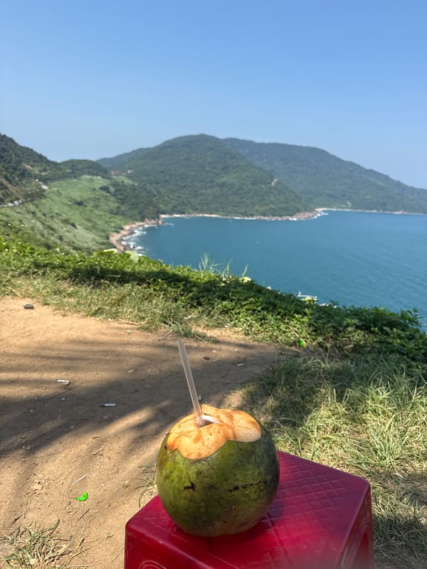 Tourists enjoy coconut drinks with scenic coastal views in Đà Nẵng