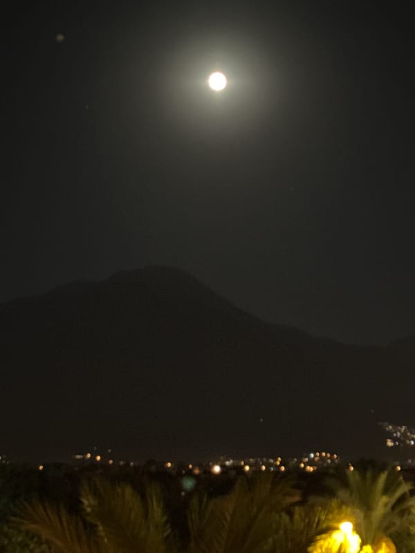 Full moon night over Fethiye's palm-lined streets
