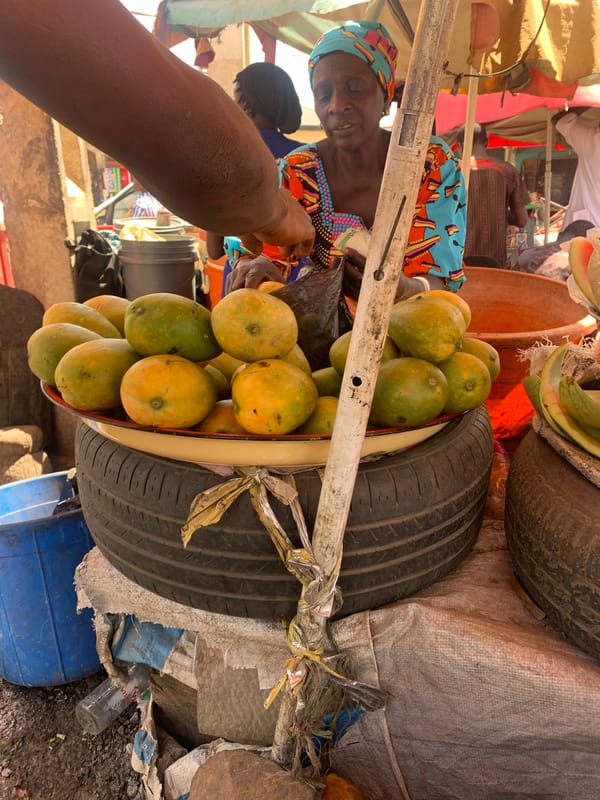 Daily life scenes documented in Rafin Par, Nigeria