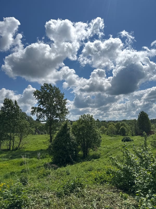 Morning countryside scenes documented in rural Уральское, Russia