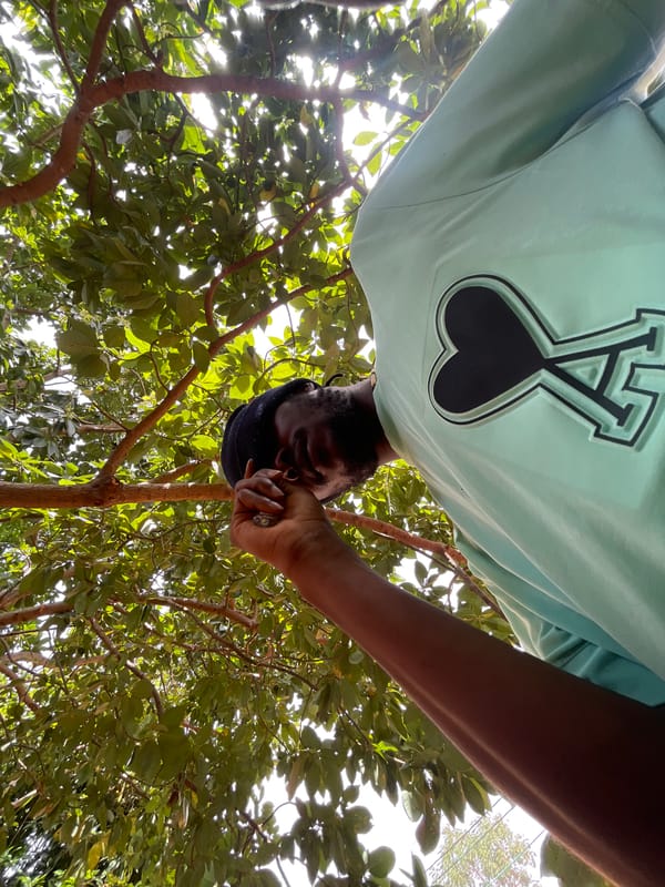 Artist creates skull and portrait drawings in Jos