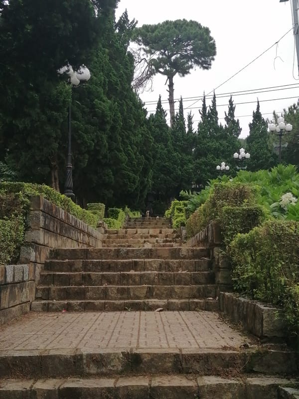 Morning garden tour documented across Da Lat's landscaped areas