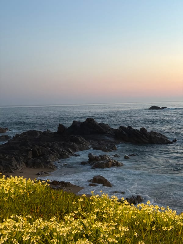 Sunset gathering documented along Porto's Atlantic coast during evening hours