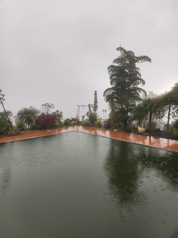 Rainy night captured across outdoor water features and indoor moments