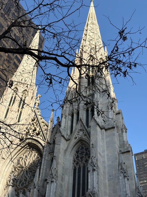 St. Patrick's Cathedral photographed through bare branches in NYC