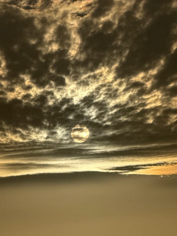 Clouds and canine captured in Tel Aviv afternoon observations