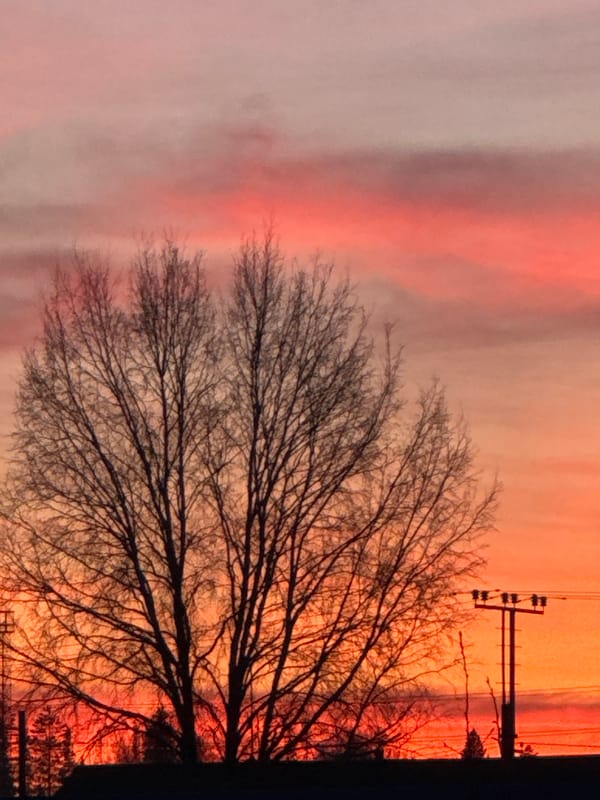 Witness documents golden hour sunset over Oktyabrsky residential area