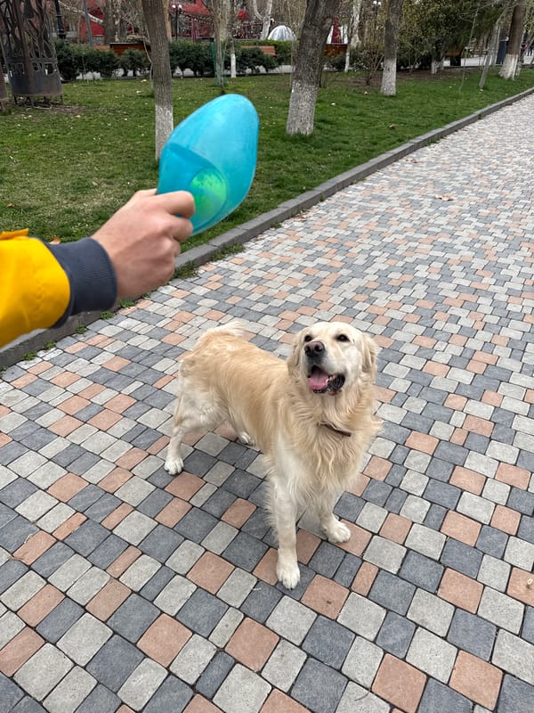 Woman and dog captured in casual Yerevan street moments