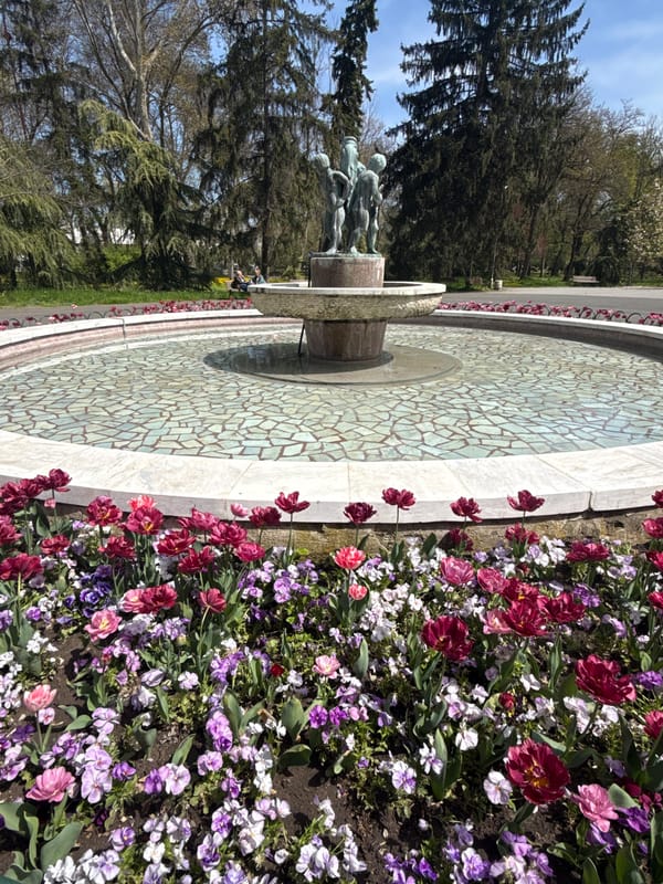 Morning scenes captured at Yambol public park and playground