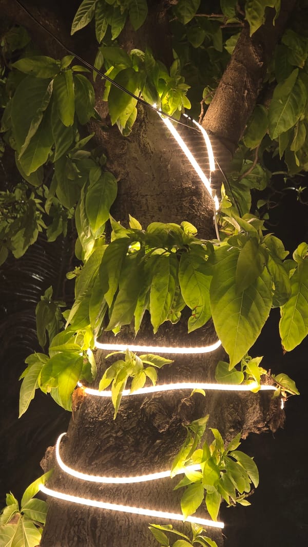 Nighttime scenes documented across illuminated Nha Trang streets and waterfront