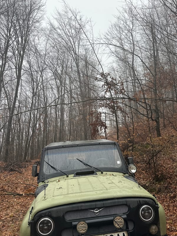 Green vehicle spotted at forest edge amid autumn conditions