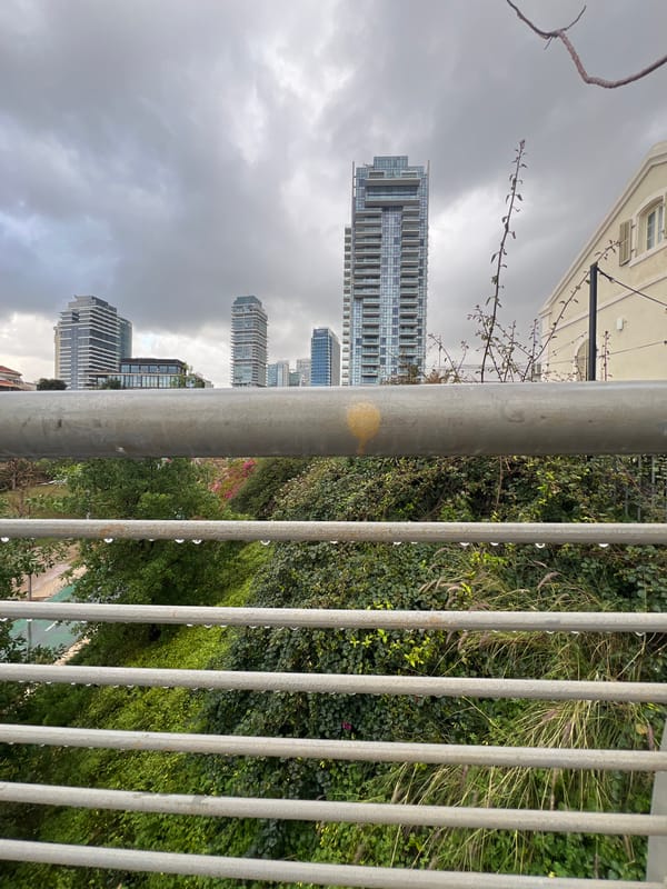 Post-rain scenes captured across Tel Aviv streets and nature