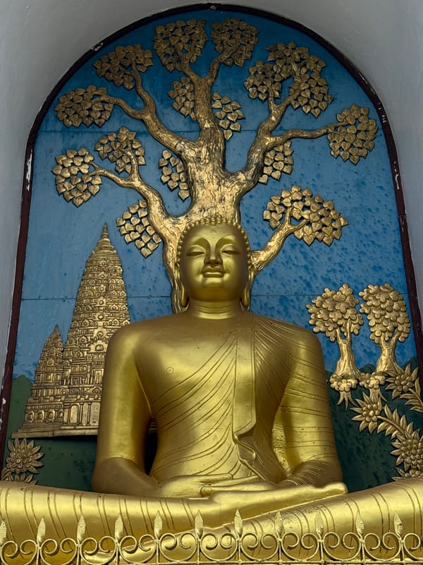 Tourist documents World Peace Pagoda Buddha statues in Pokhara