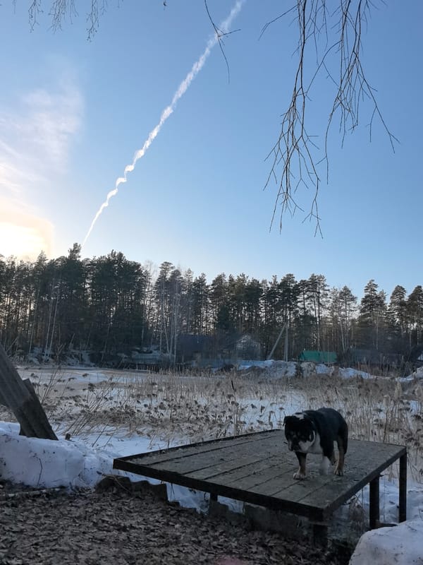 Woman's relaxing day documented in rural Russian cabin setting