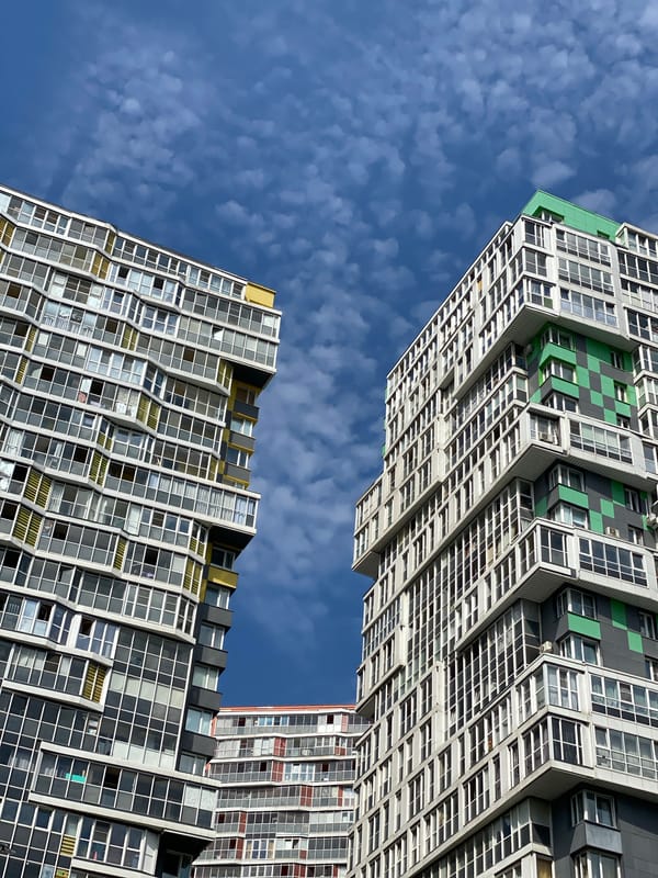 Poodle walk through Kudrovo's parks and apartment blocks