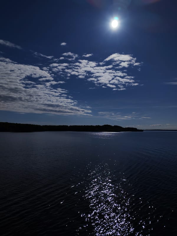 Tranquil lake scene photographed in Krivonogovskaya, Russia