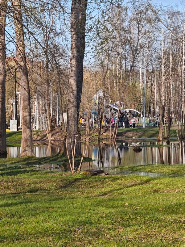 Spring afternoon leisure activities captured along flooded waterfront park