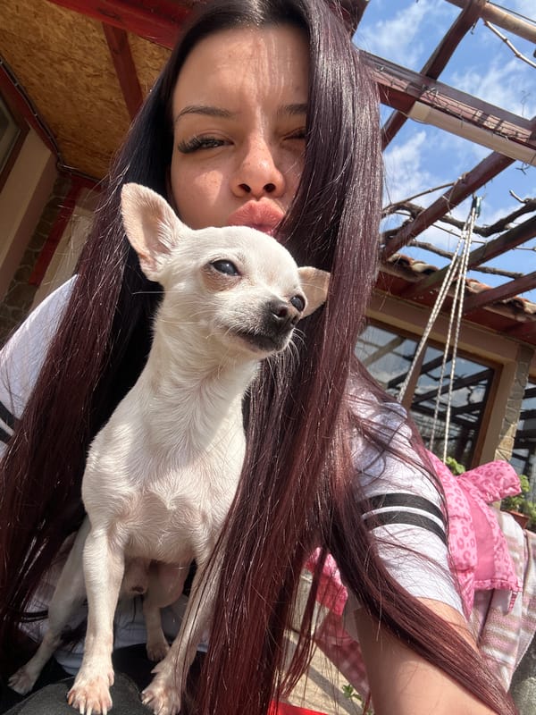 Woman takes selfies with white Chihuahua in Bulgaria