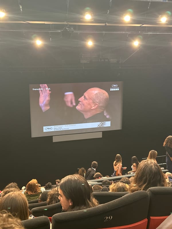 Cannes audience watches red carpet coverage inside theater