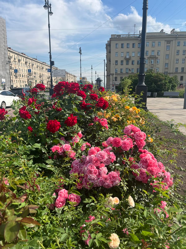 Summer afternoon at a Saint Petersburg fountain plaza in bloom