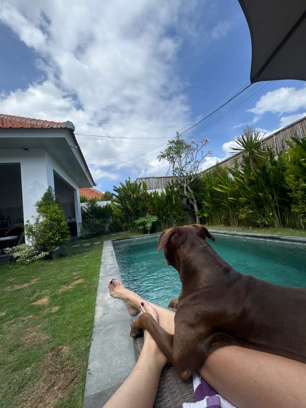 Person relaxes poolside with brown dog in Mengwi, Indonesia