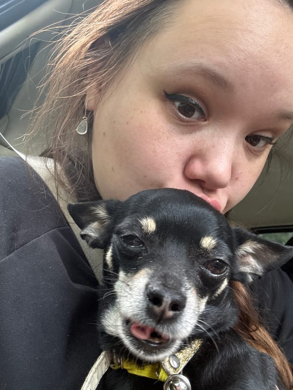 Driving through Pereslavl-Zalessky past churches and street scenes