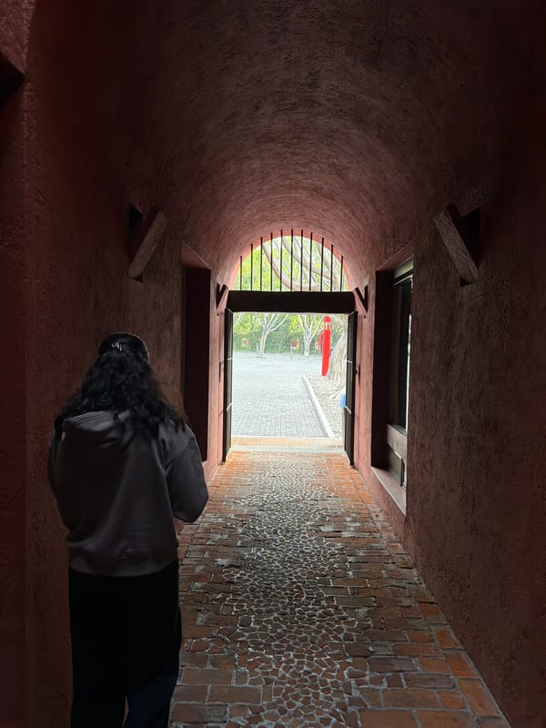 Witness documents Camelia Pasaje building scenes in Puebla, Mexico